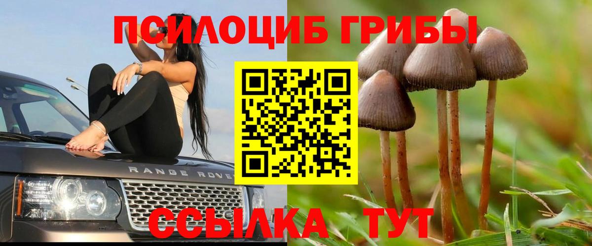 Псилоцибиновые грибы Magic Shrooms  Вход с VPN  Галлюциногенные грибы прущие грибы  Клин 